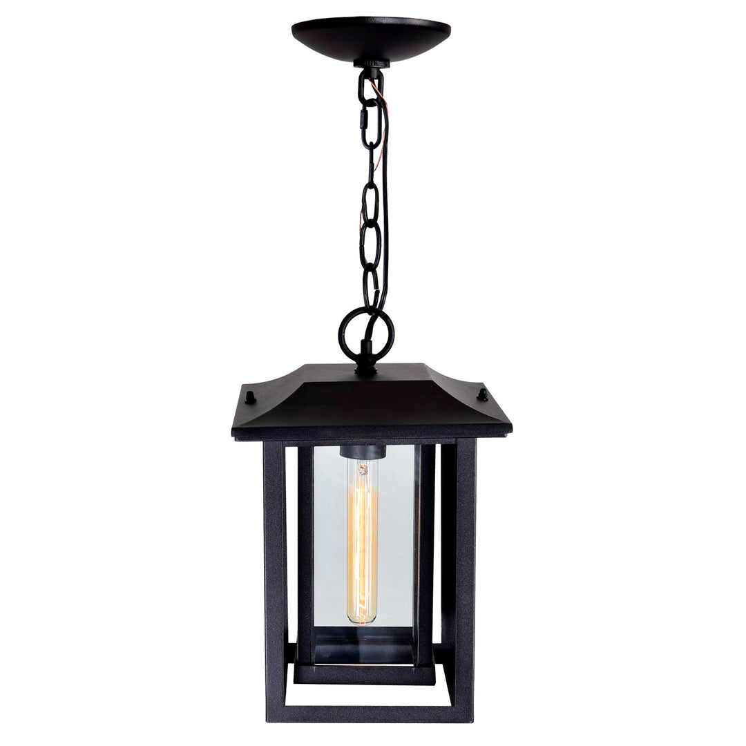 1 Light Black Outdoor Hanging Light