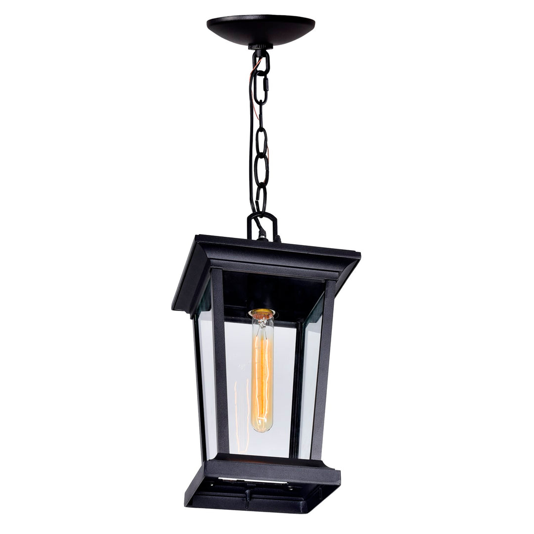 1 Light Black Outdoor Hanging Light