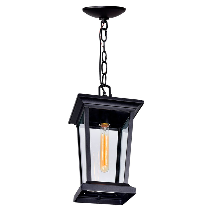1 Light Black Outdoor Hanging Light