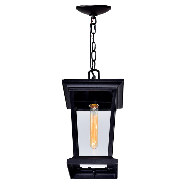 1 Light Black Outdoor Hanging Light