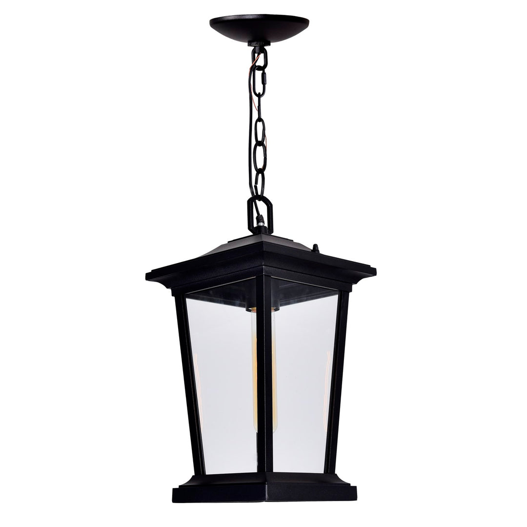 1 Light Black Outdoor Hanging Light