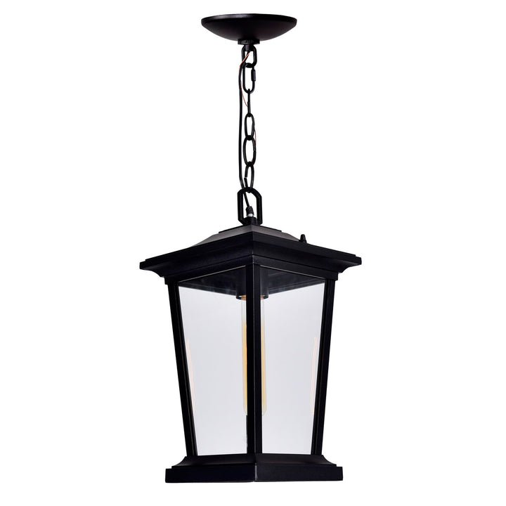 1 Light Black Outdoor Hanging Light