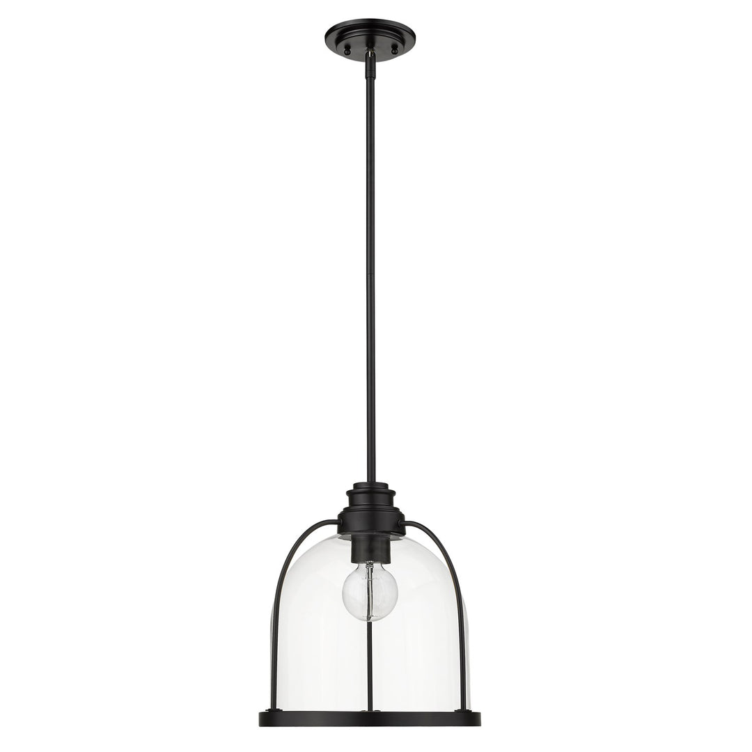 1-Light Matte Black Pendant by Acclaim Lighting