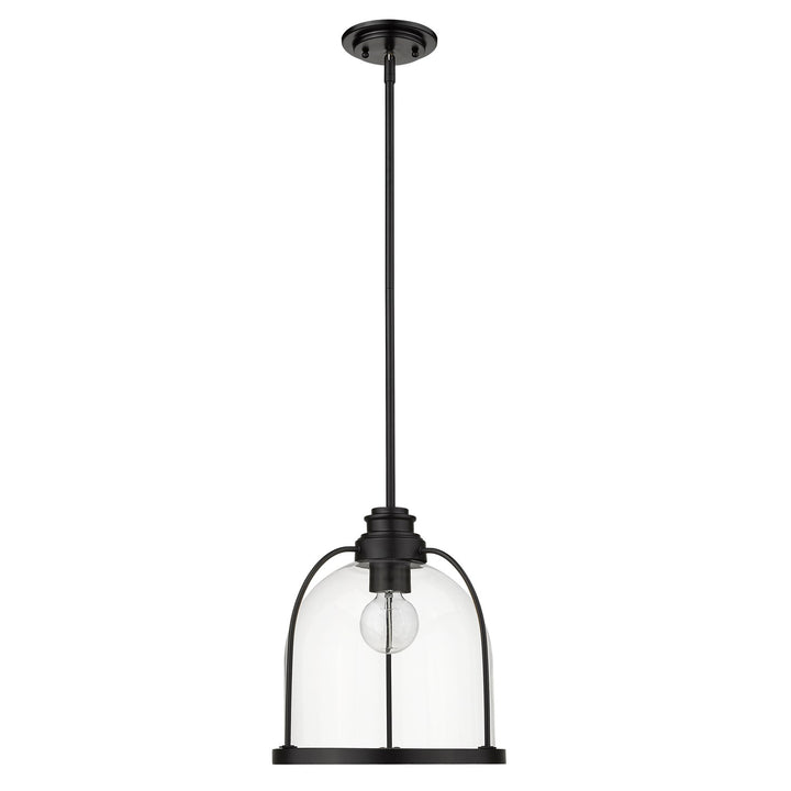 1-Light Matte Black Pendant by Acclaim Lighting