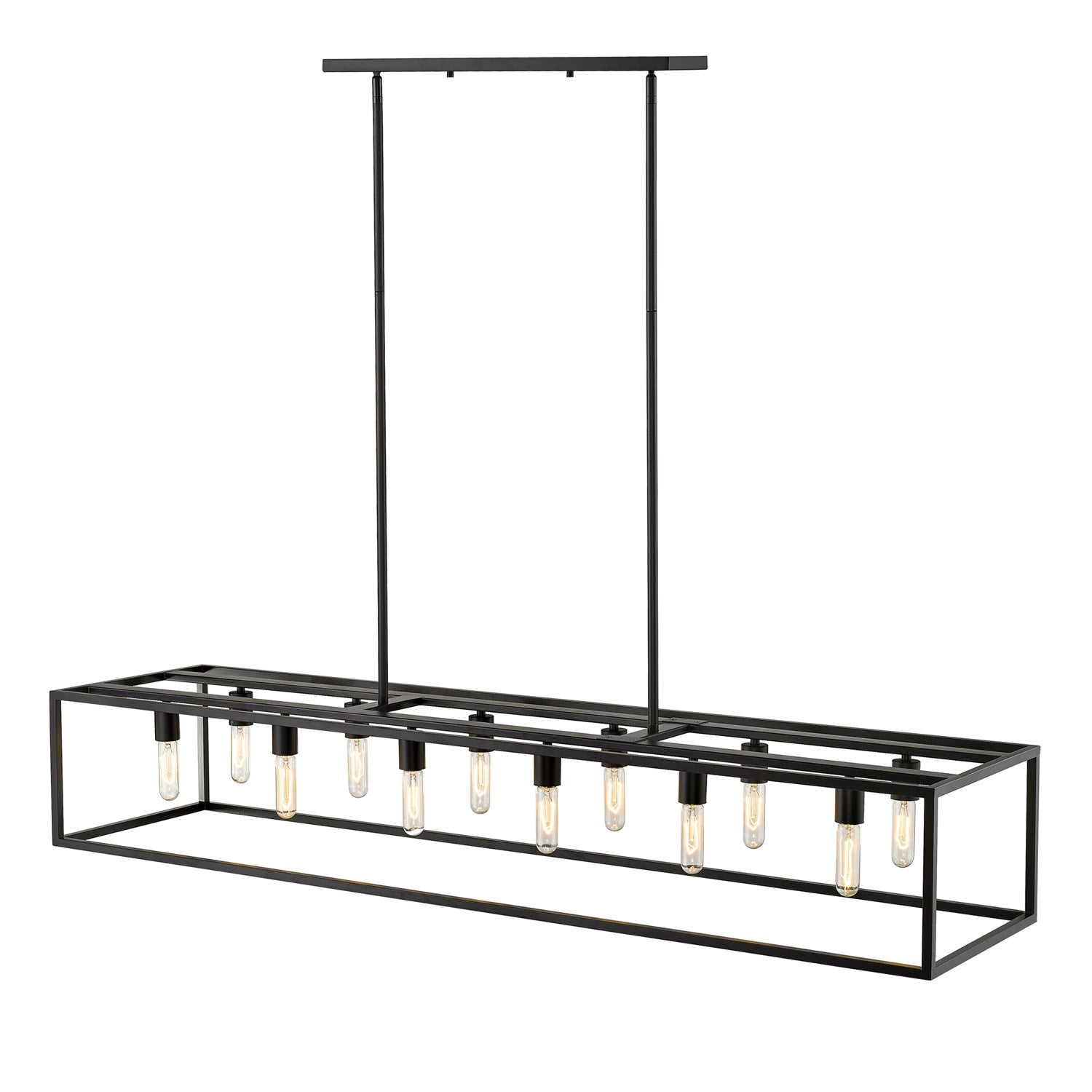 12-Light Matte Black Island Pendant by Acclaim Lighting