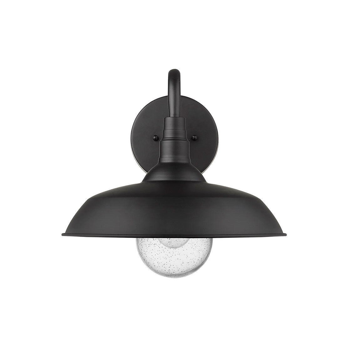 1-Light Matte Black Wall Light