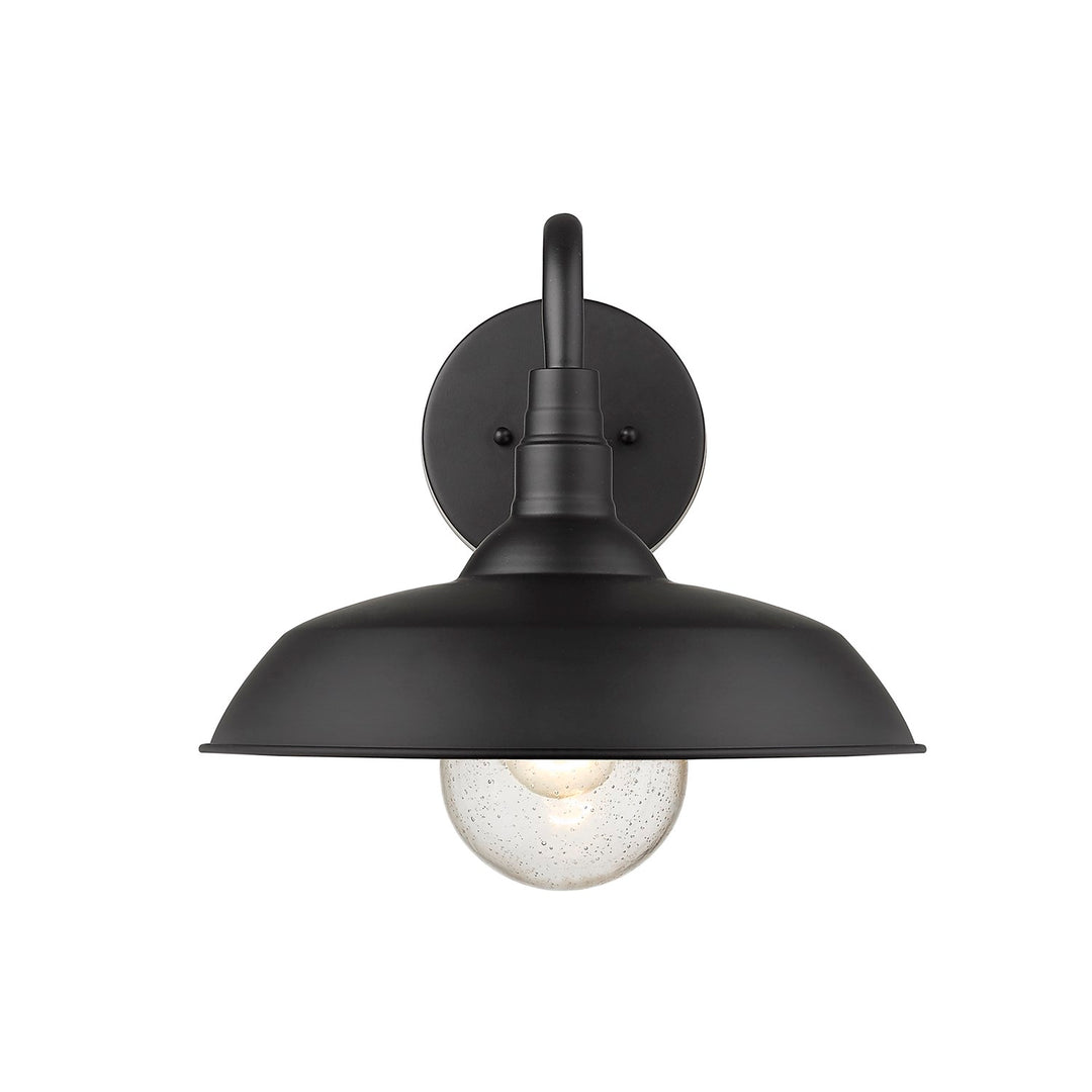 1-Light Matte Black Wall Light