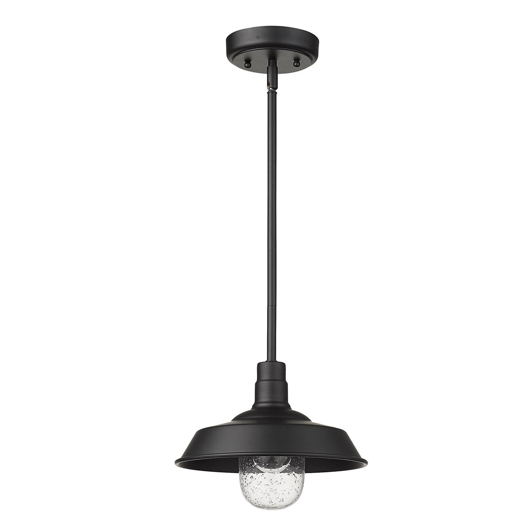 1-Light Matte Black Convertible Pendant by Acclaim Lighting