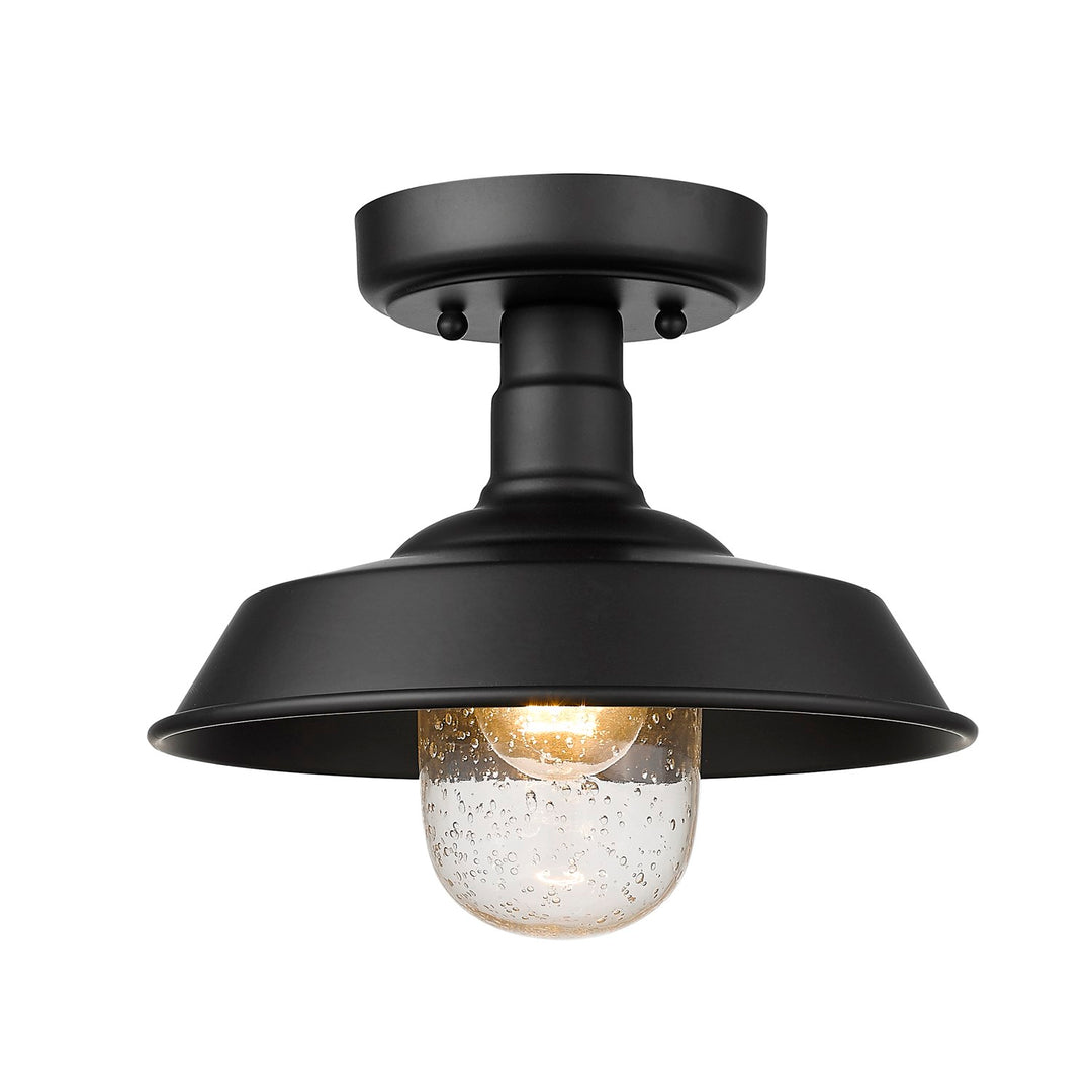 1-Light Matte Black Convertible Pendant