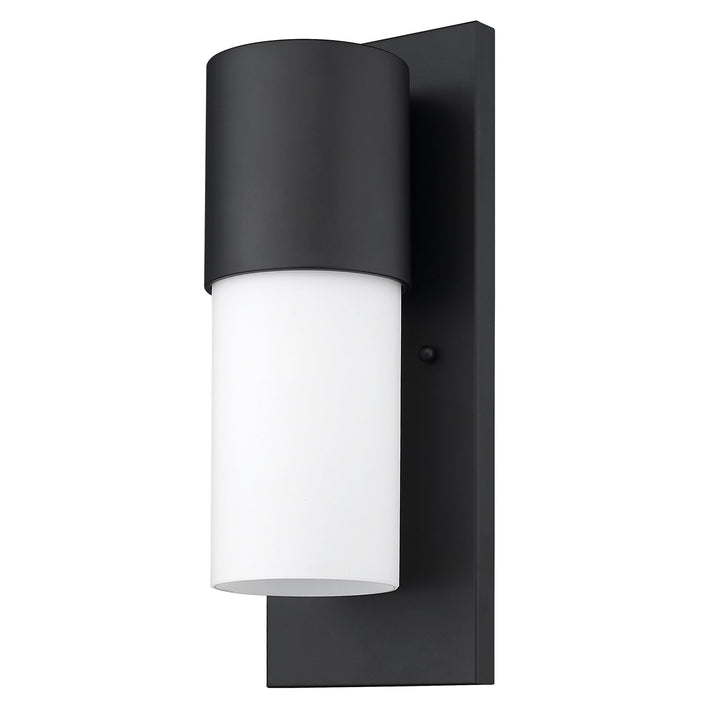 1-Light Matte Black Wall Light by Acclaim Lighting