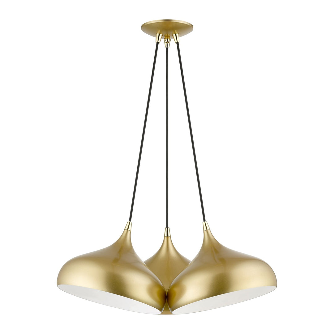 3 Light Soft Gold Cluster Pendant by Livex Lighting