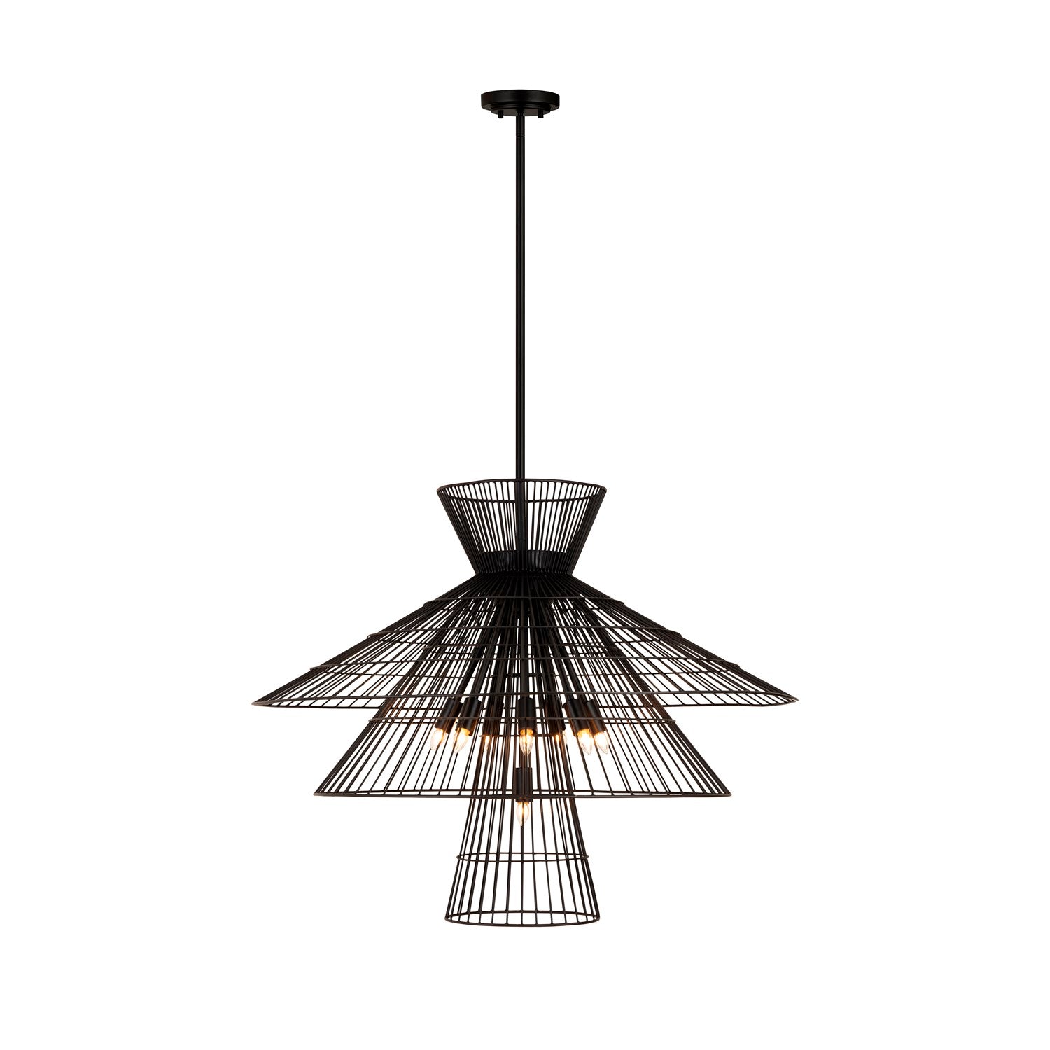 8 Light Chandelier by Z-Lite