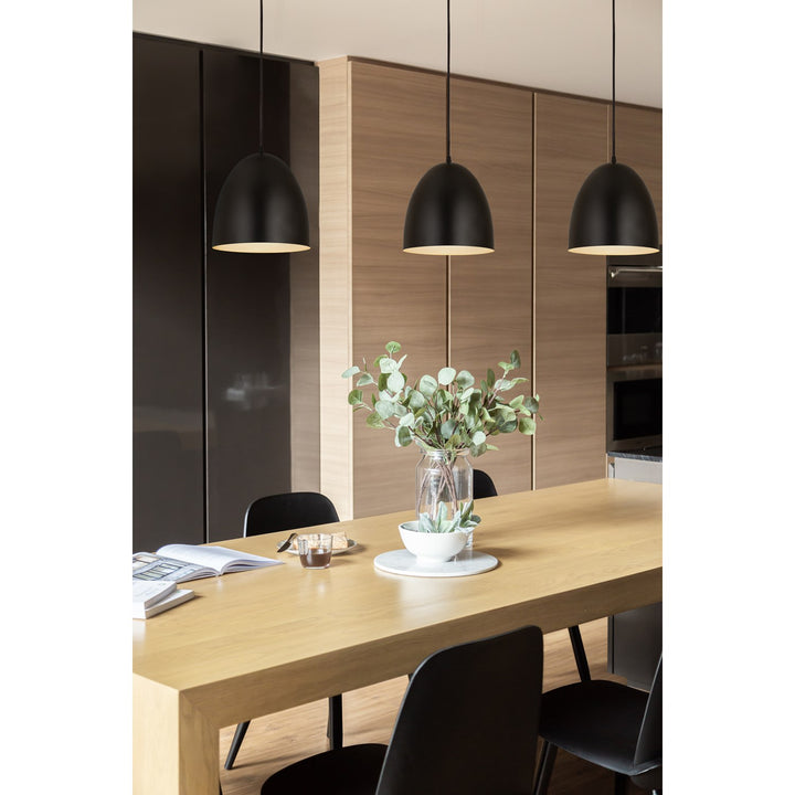 1 Light Pendant