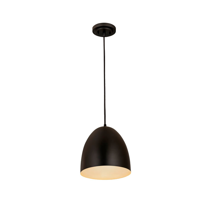 1 Light Pendant