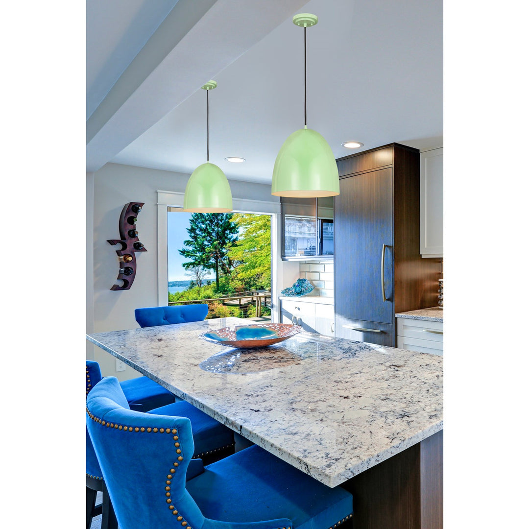 1 Light Pendant