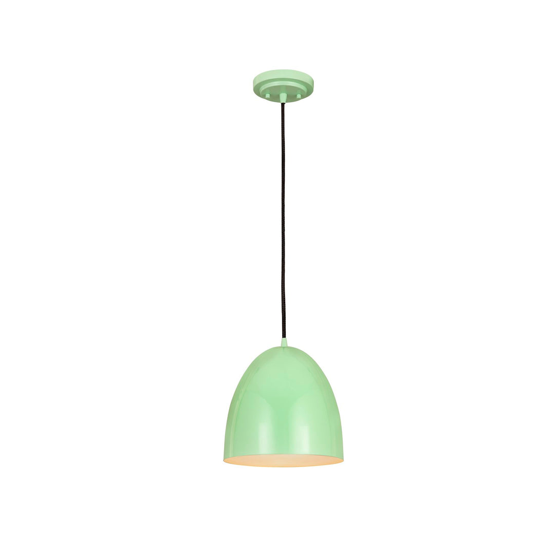 1 Light Pendant