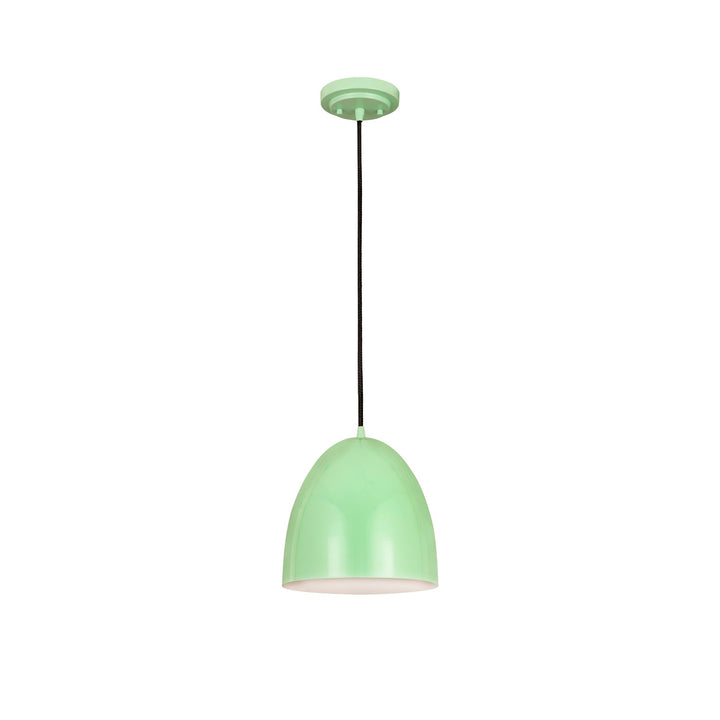 1 Light Pendant