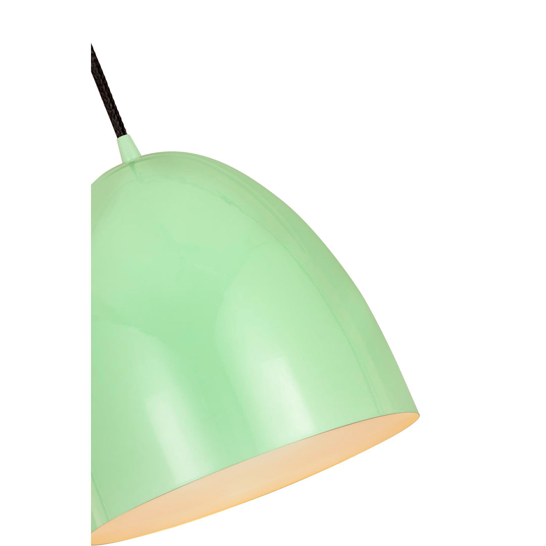 1 Light Pendant