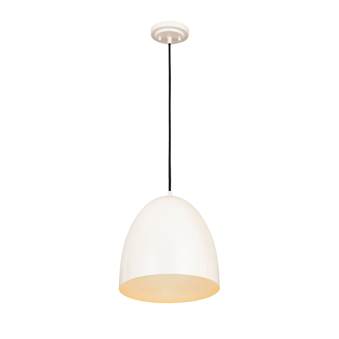 1 Light Pendant