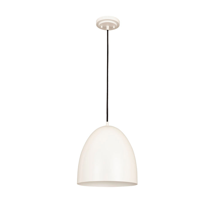 1 Light Pendant