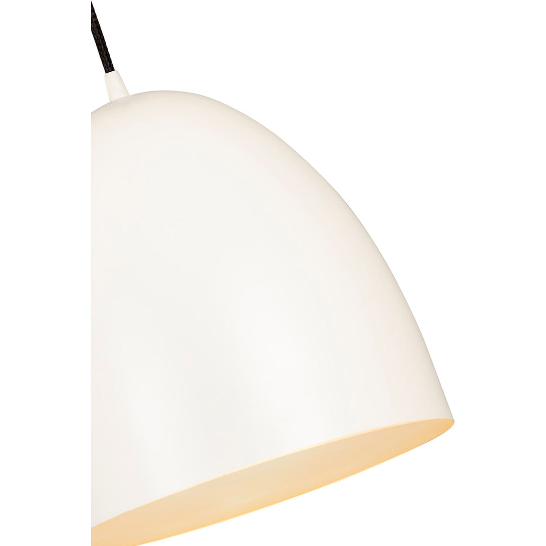 1 Light Pendant