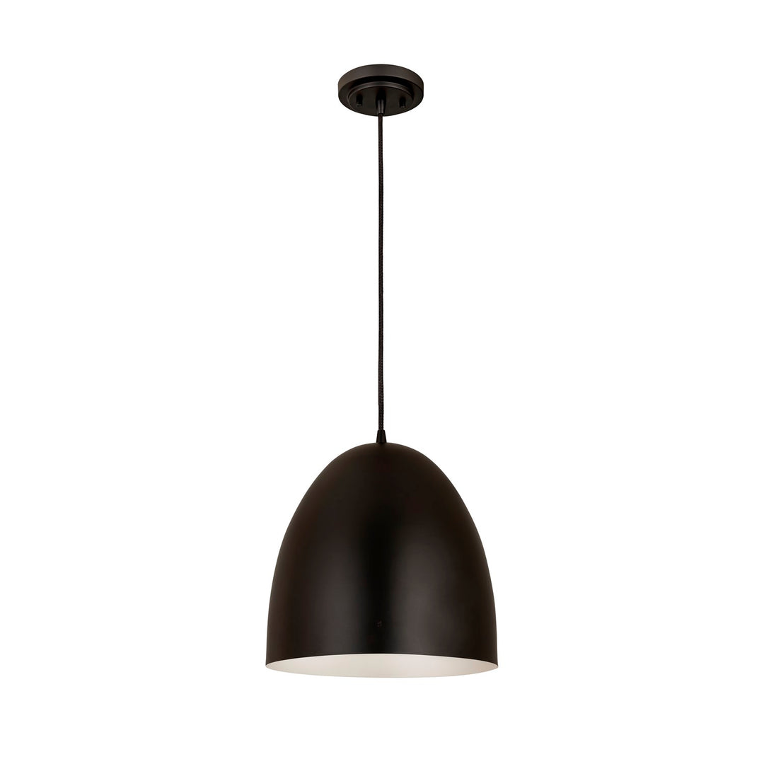 1 Light Pendant