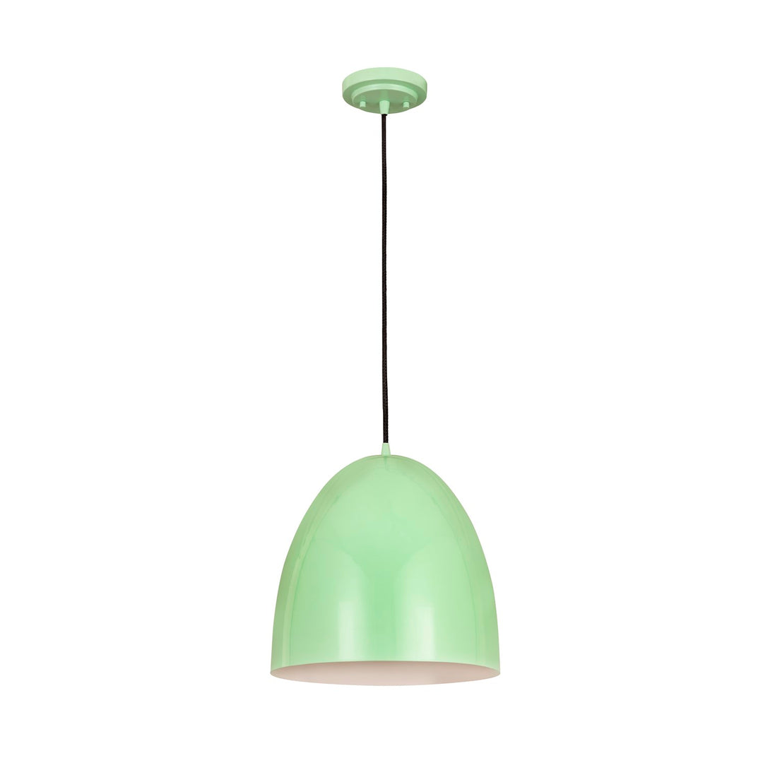 1 Light Pendant