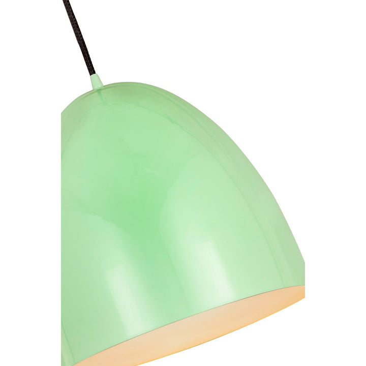 1 Light Pendant