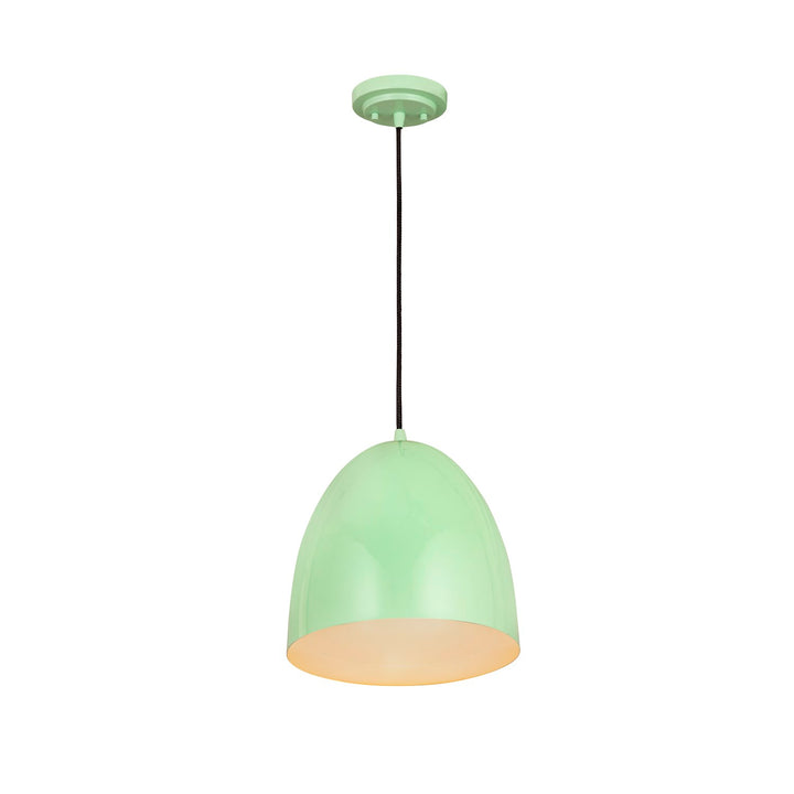 1 Light Pendant