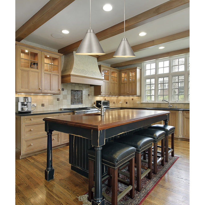 1 Light Pendant