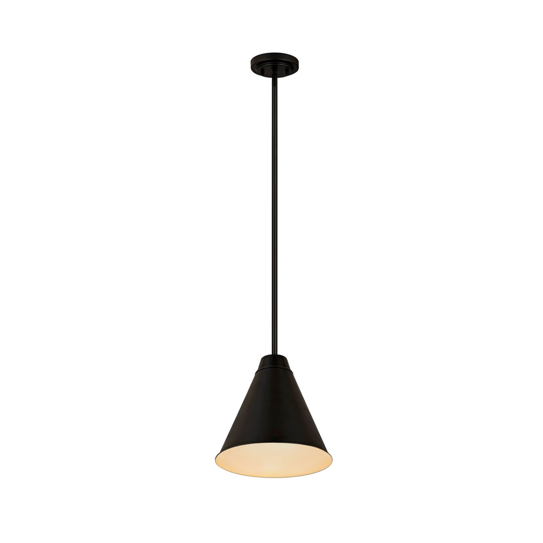 1 Light Pendant