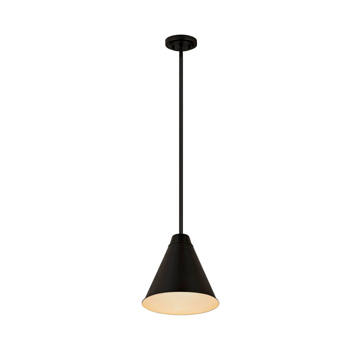 1 Light Pendant