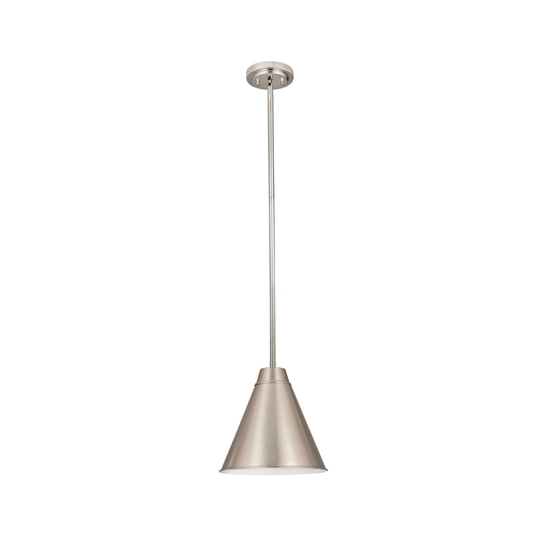 1 Light Pendant