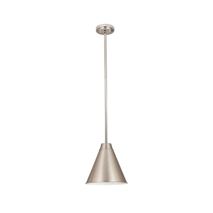 1 Light Pendant