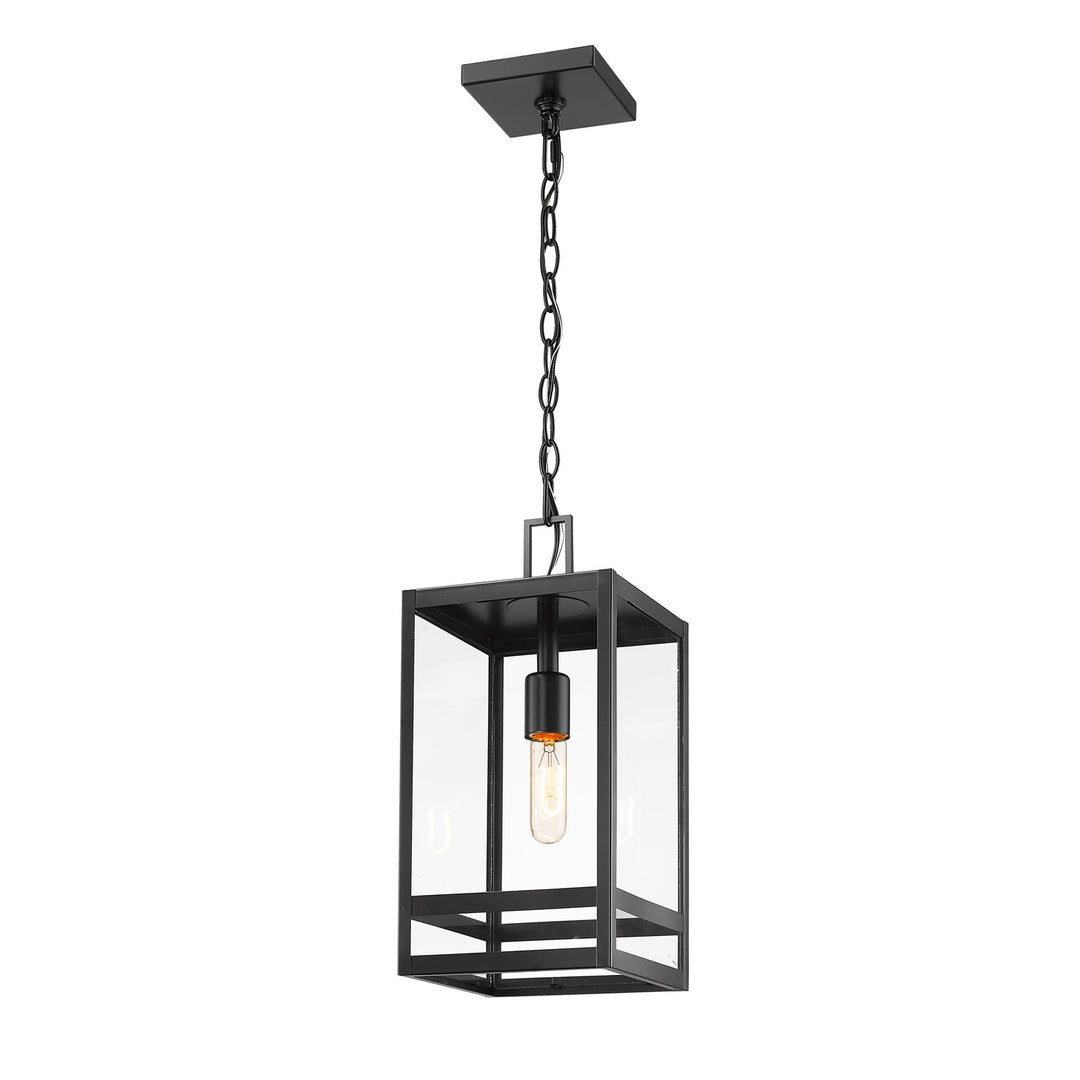 1 Light Outdoor Chain Mount Ceiling Fixture