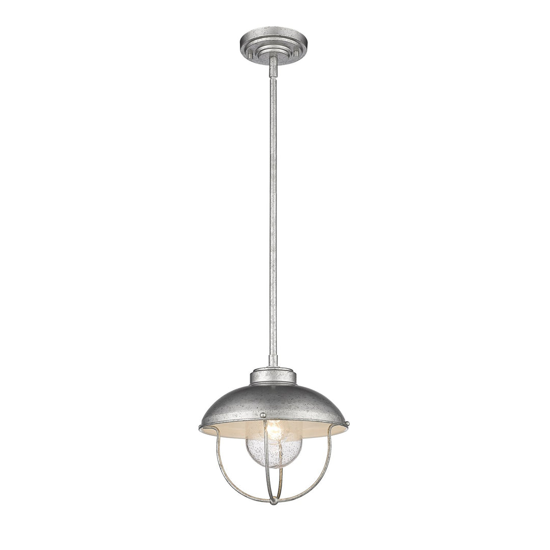 1 Light Outdoor Pendant by Z-Lite