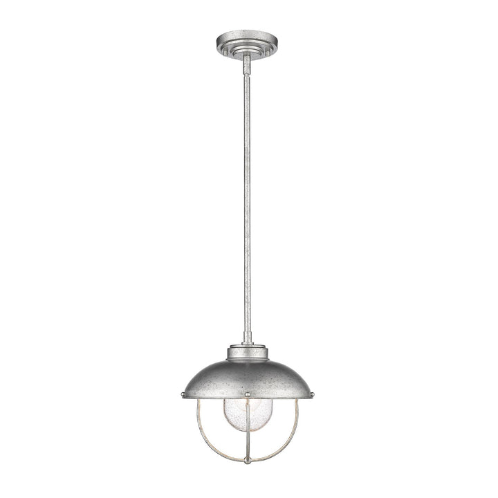 1 Light Outdoor Pendant
