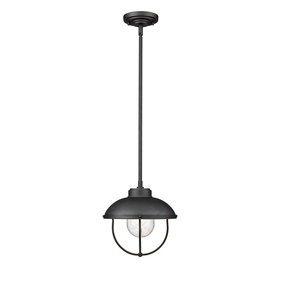 1 Light Outdoor Pendant