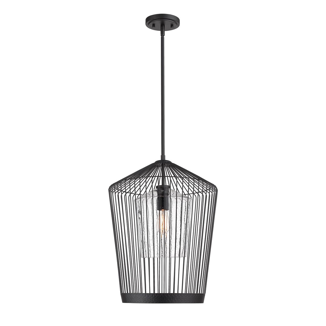 1 Light Pendant by Z-Lite