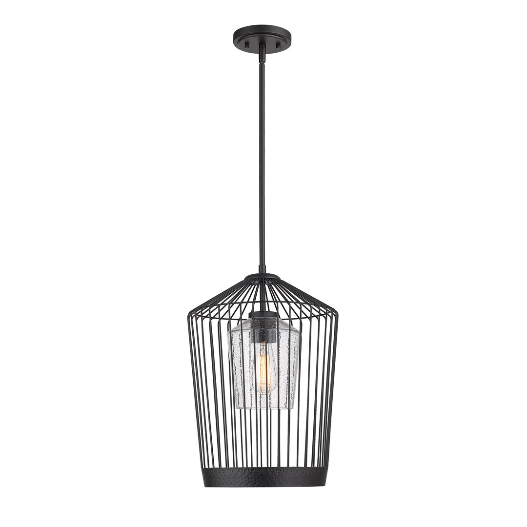 1 Light Pendant by Z-Lite