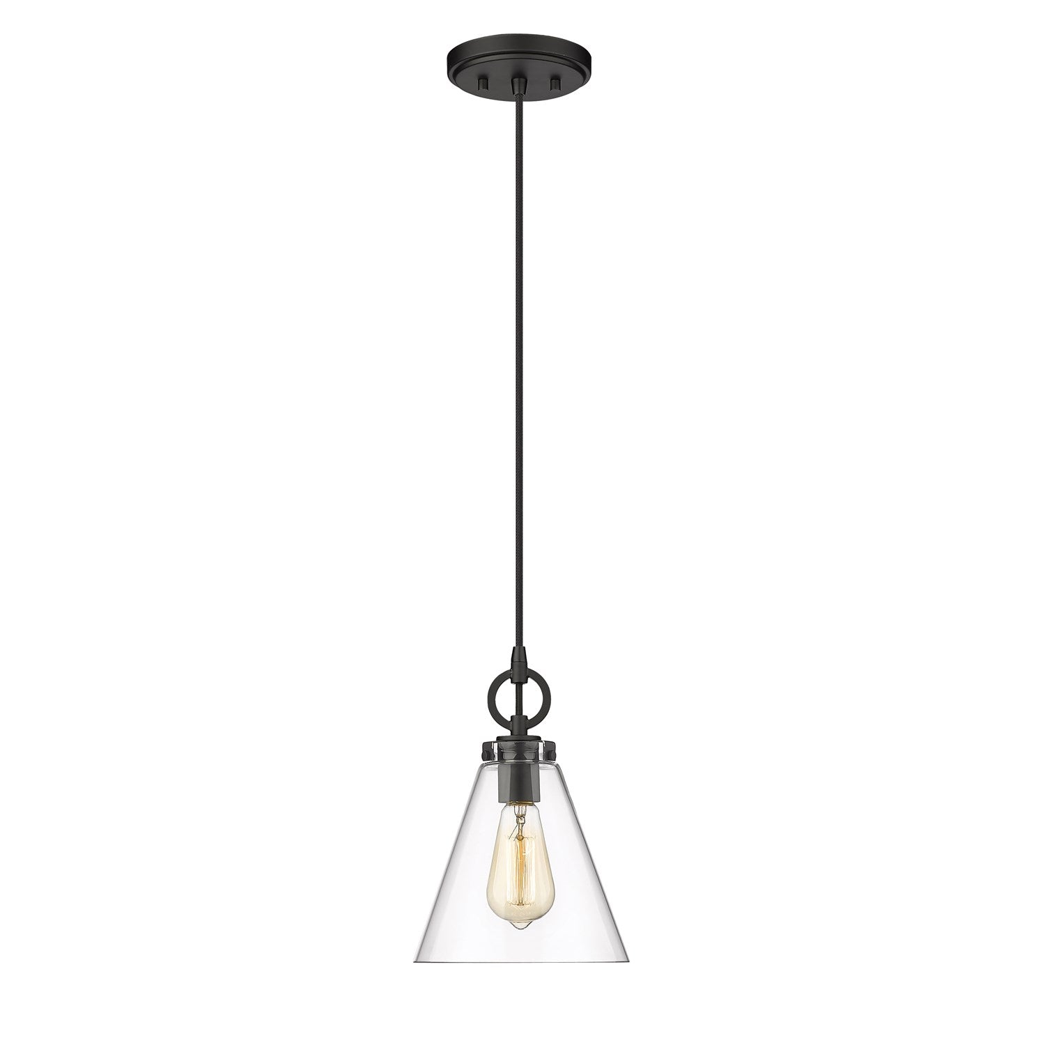 1 Light Pendant by Z-Lite