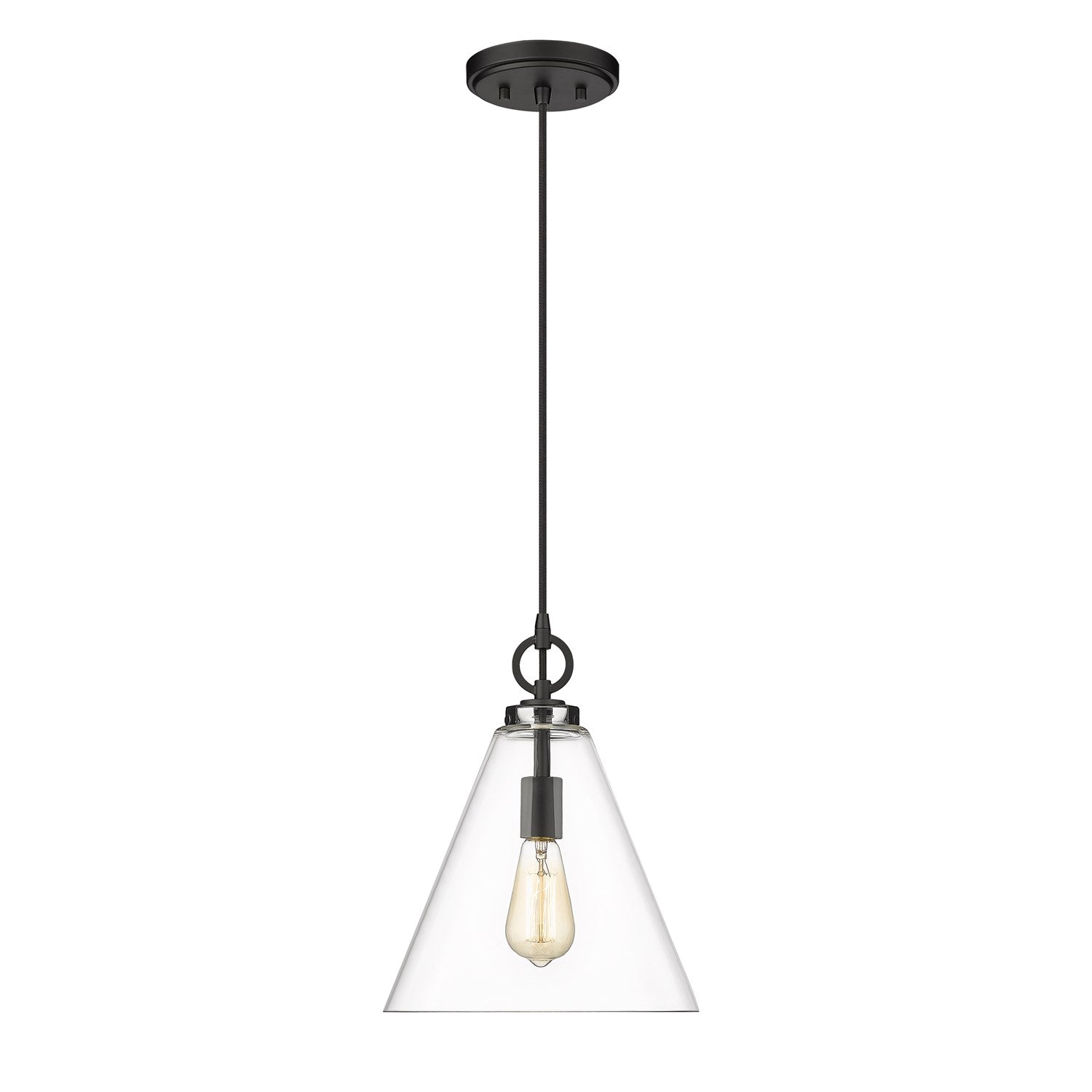 1 Light Pendant by Z-Lite