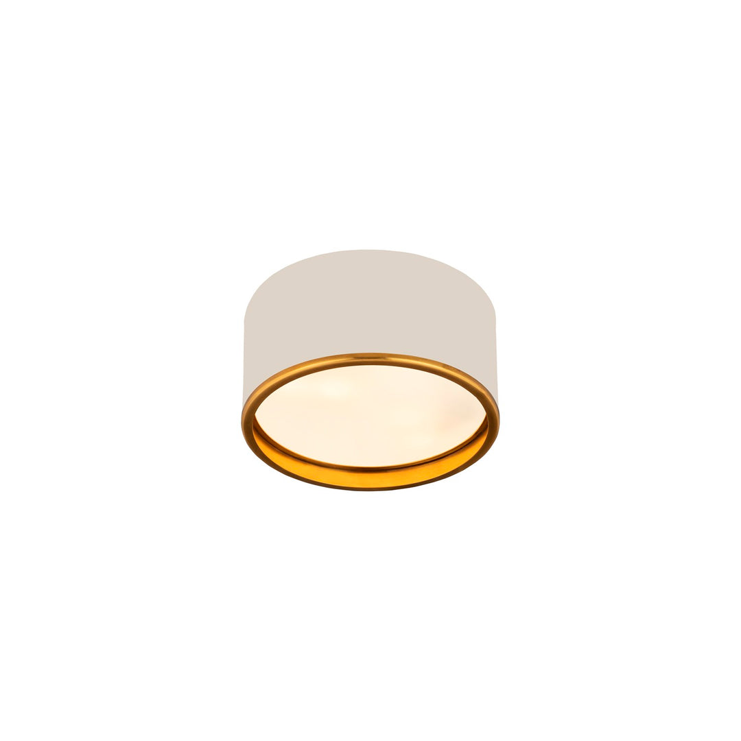 2 Light Flush Mount