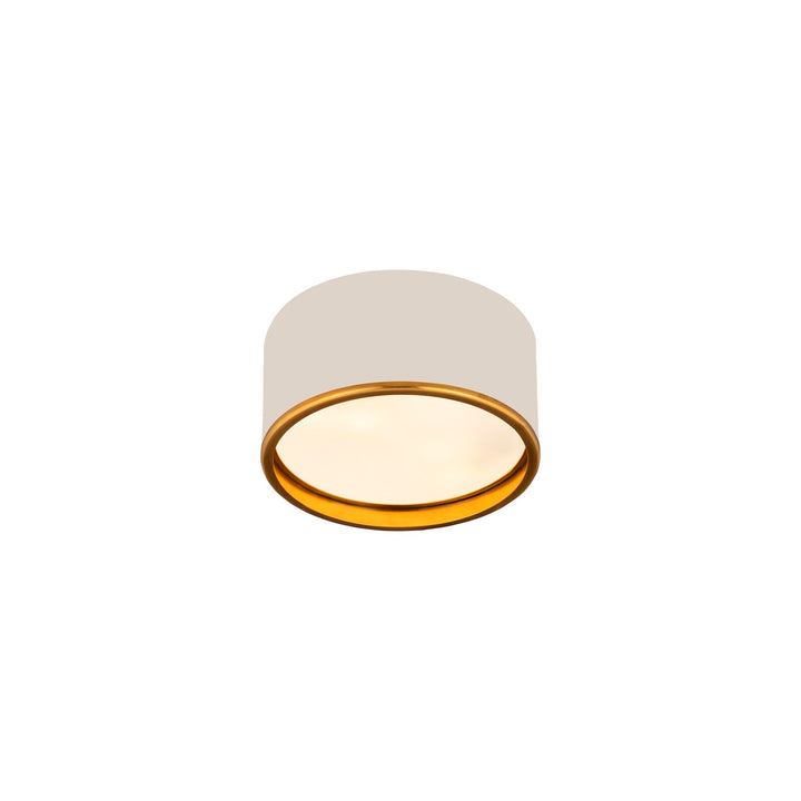 2 Light Flush Mount