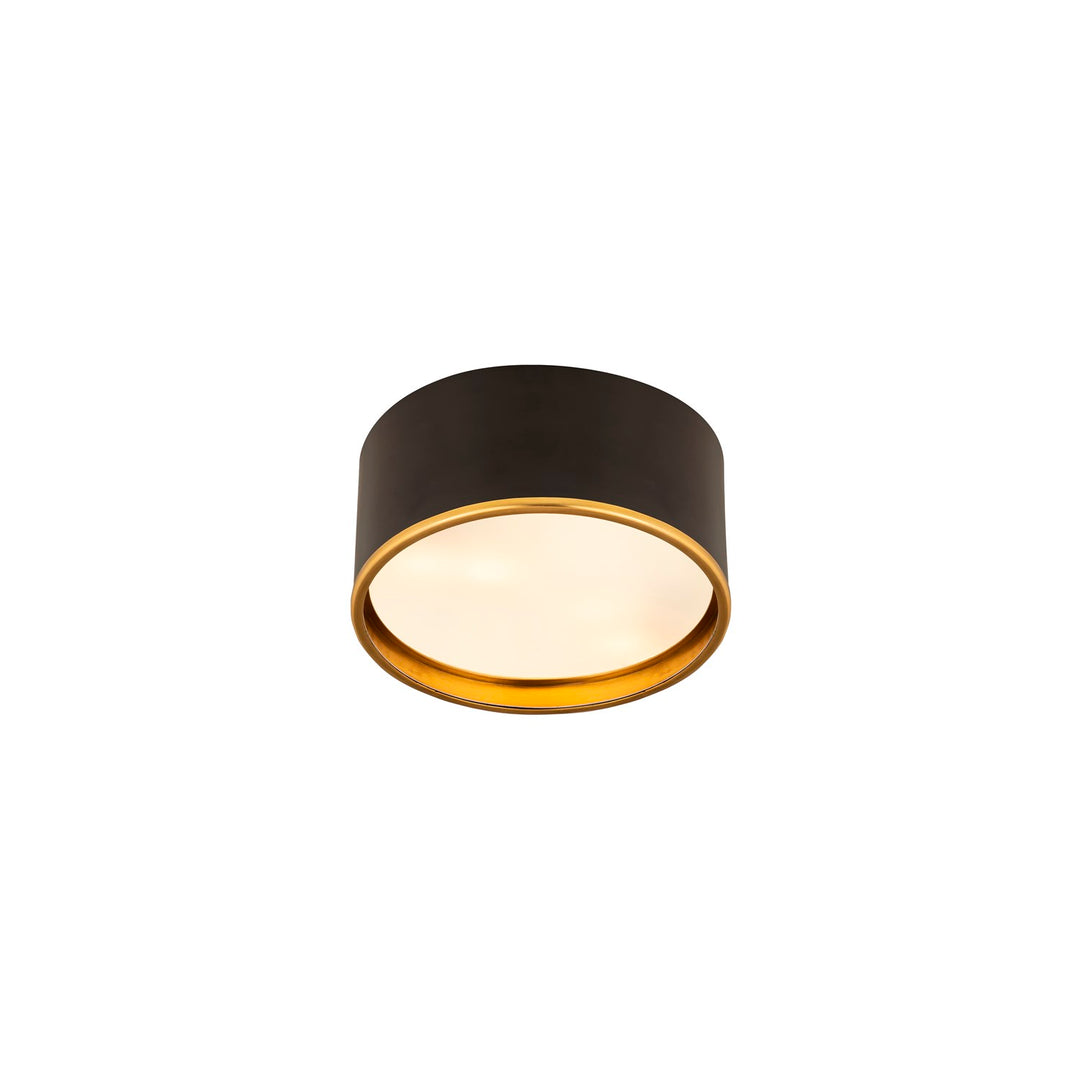 2 Light Flush Mount