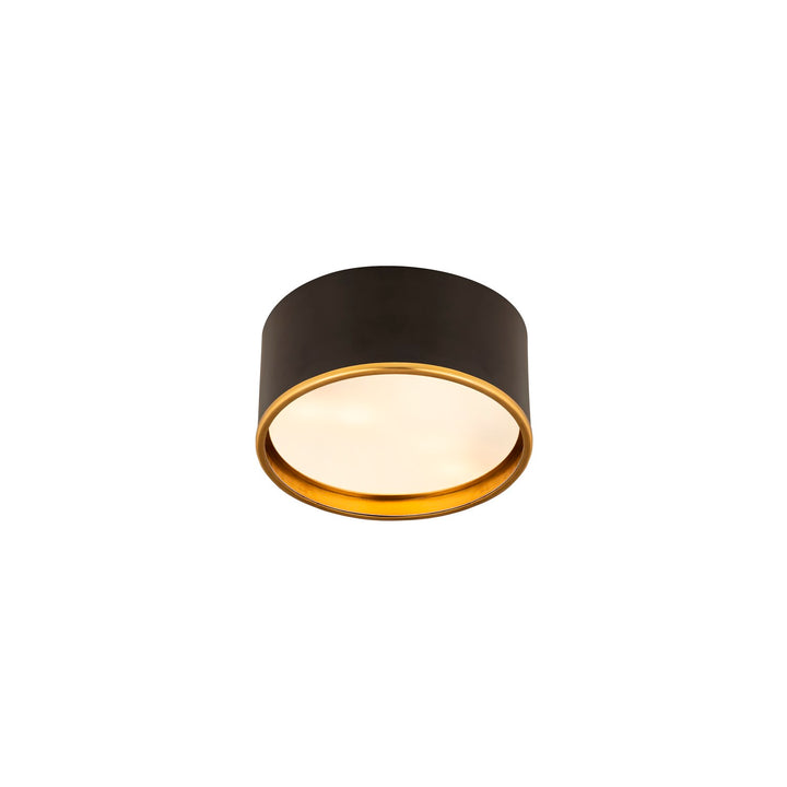 2 Light Flush Mount