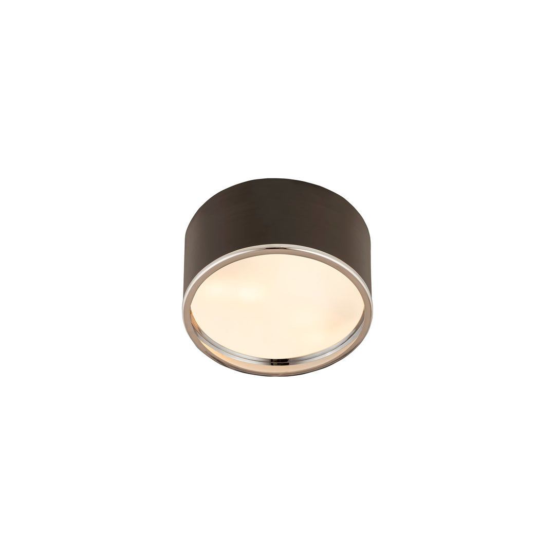 2 Light Flush Mount