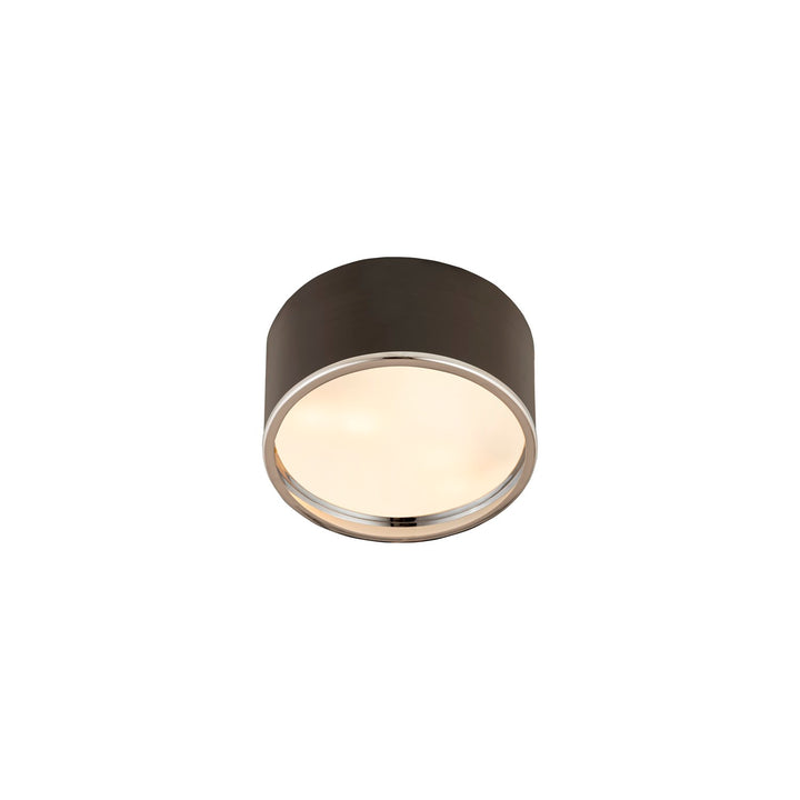 2 Light Flush Mount