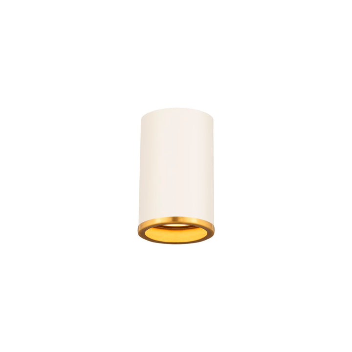 1 Light Flush Mount by Z-Lite