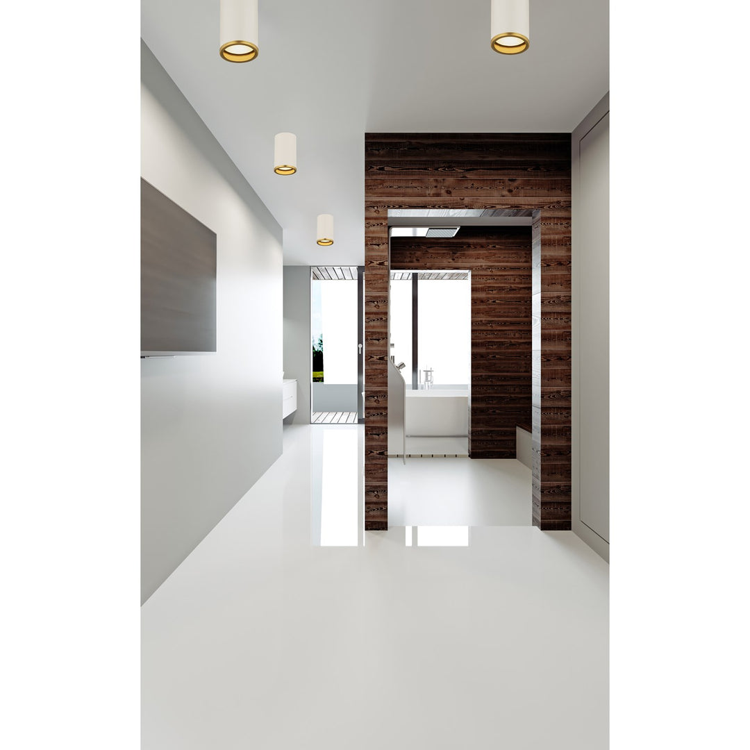 1 Light Flush Mount
